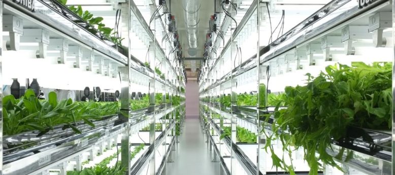 cleanroom supplies for cannabis hydroponics and food-growing hydroponics applications