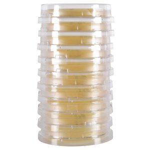 image representing hardy p520 LokTight Tryptic Soy Agar (TSA), w/Lecithin and Tween