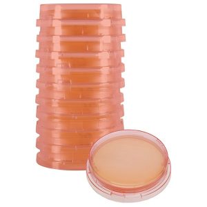 hardy p520r loktight tryptic soy agar (tsa), w/lecithin and tween that is red tinted