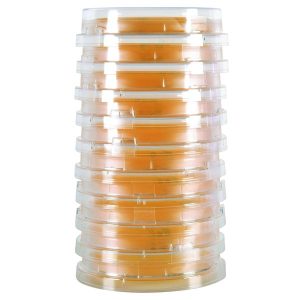 image representing hardy p595 LokTight Sabouraud Dextrose Agar (SabDex) w/Lecithin and Tween