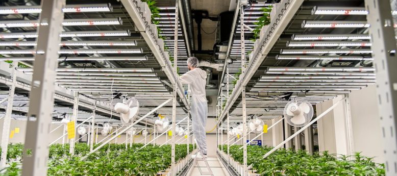 indoor farming cleanroom