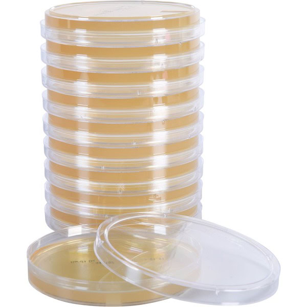 hardy w520 sterem tryptic soy agar (tsa) with lecithin and tween® 80, usp, irradiated