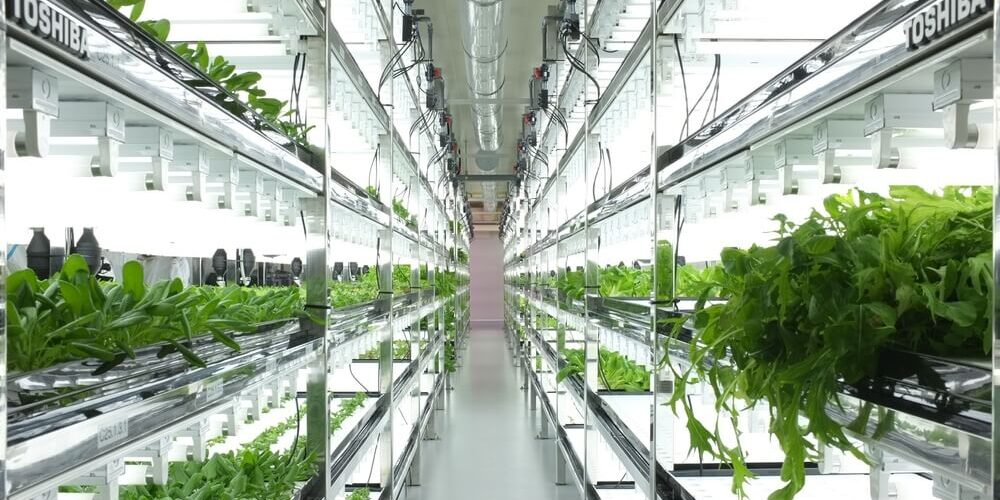 cleanroom supplies for cannabis hydroponics and food-growing hydroponics applications